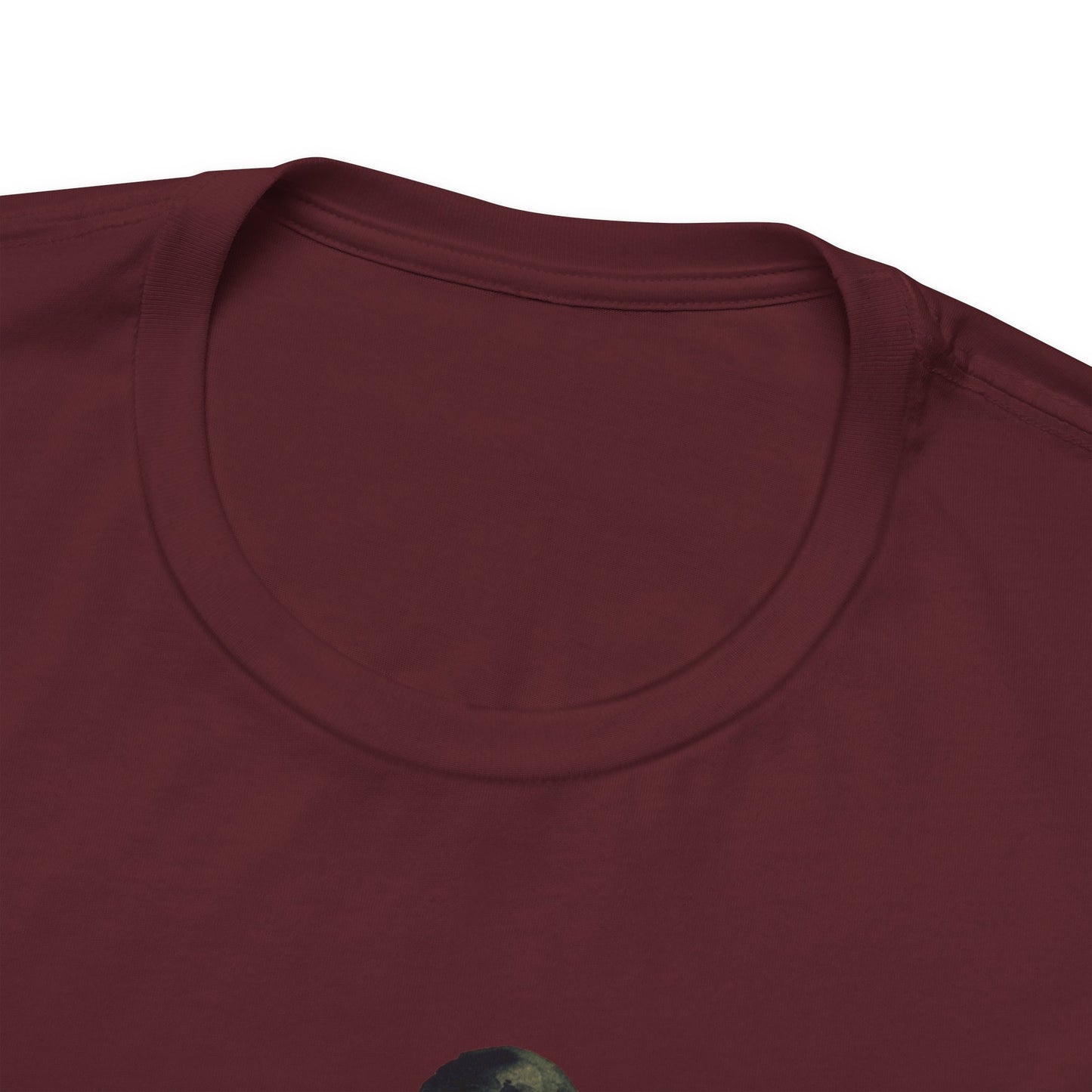 Raven Skull T-Shirt: Gothic Poem Apparel, Dark Illustration