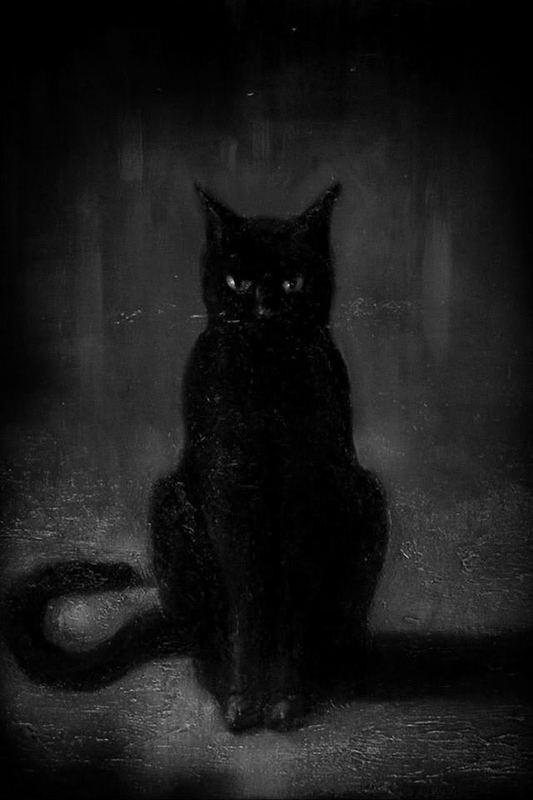 The Mystique of the Black Cat in Folklore and Art